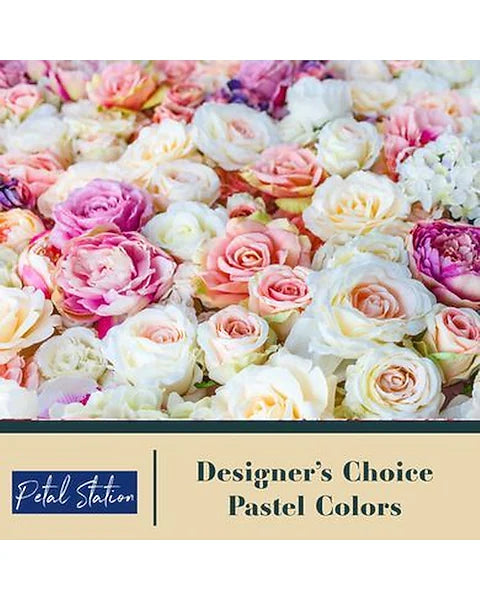 Designer Choice - Pastel Color