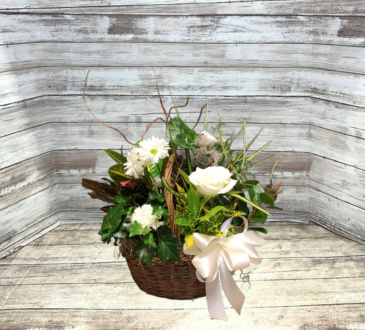 Steen’s White Perfection Garden image 0