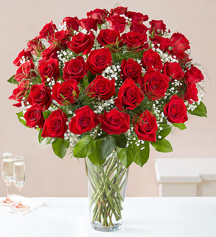 100 Explorer Red Roses image 0