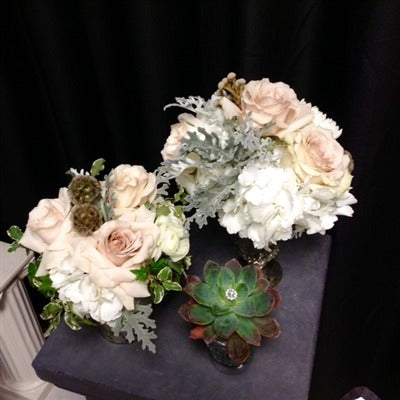 Buy Online & SAVE $$$ Vintage Trio