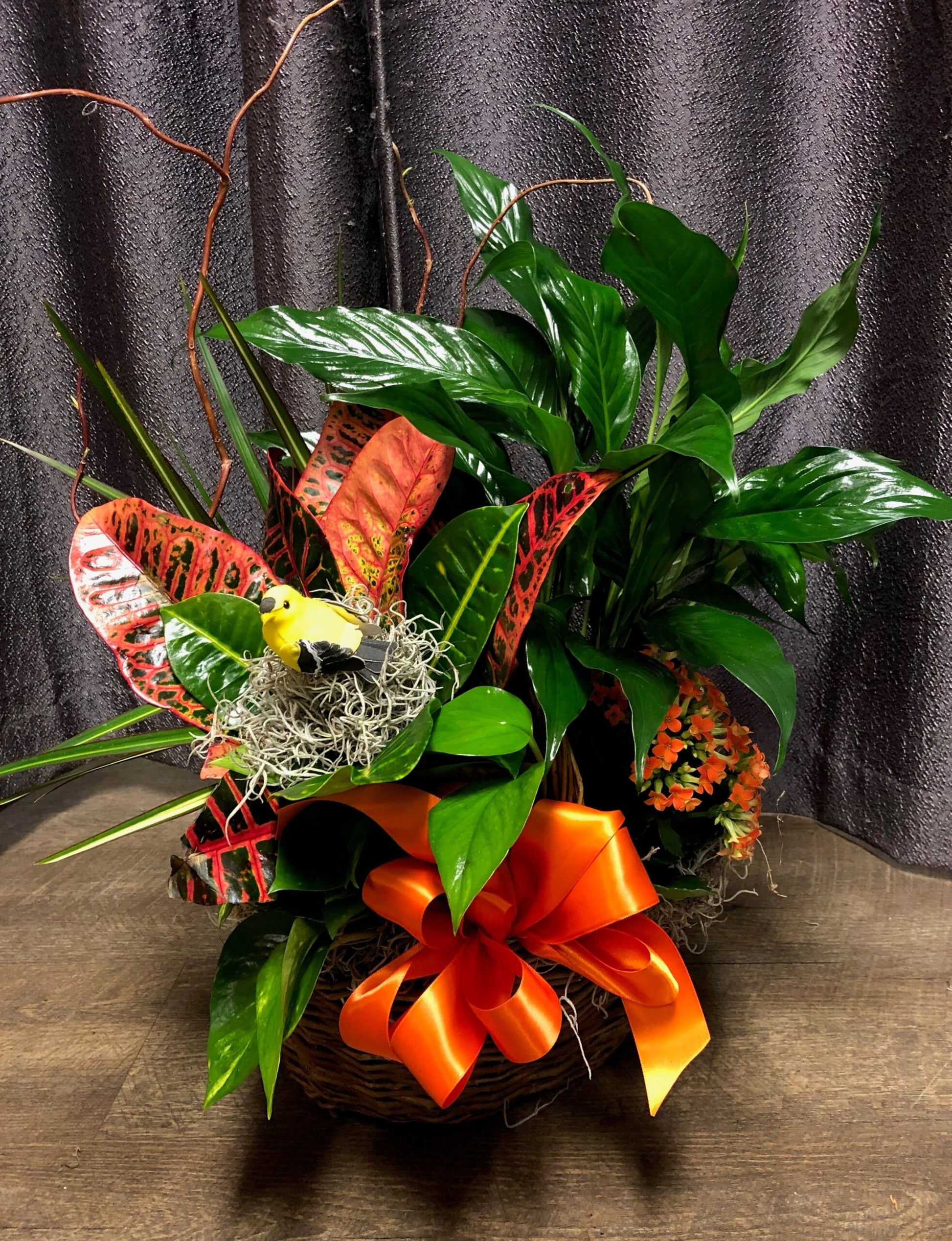 Bittersweet Blooming Garden