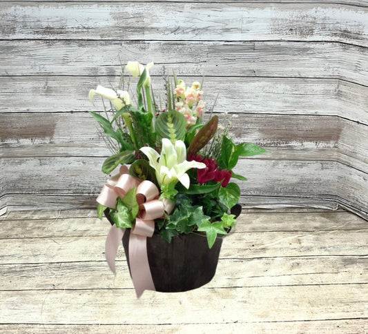 Veronica’s Plant Garden With Cut Flowers image 0