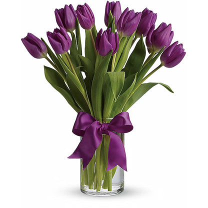 Passionate Purple Tulips