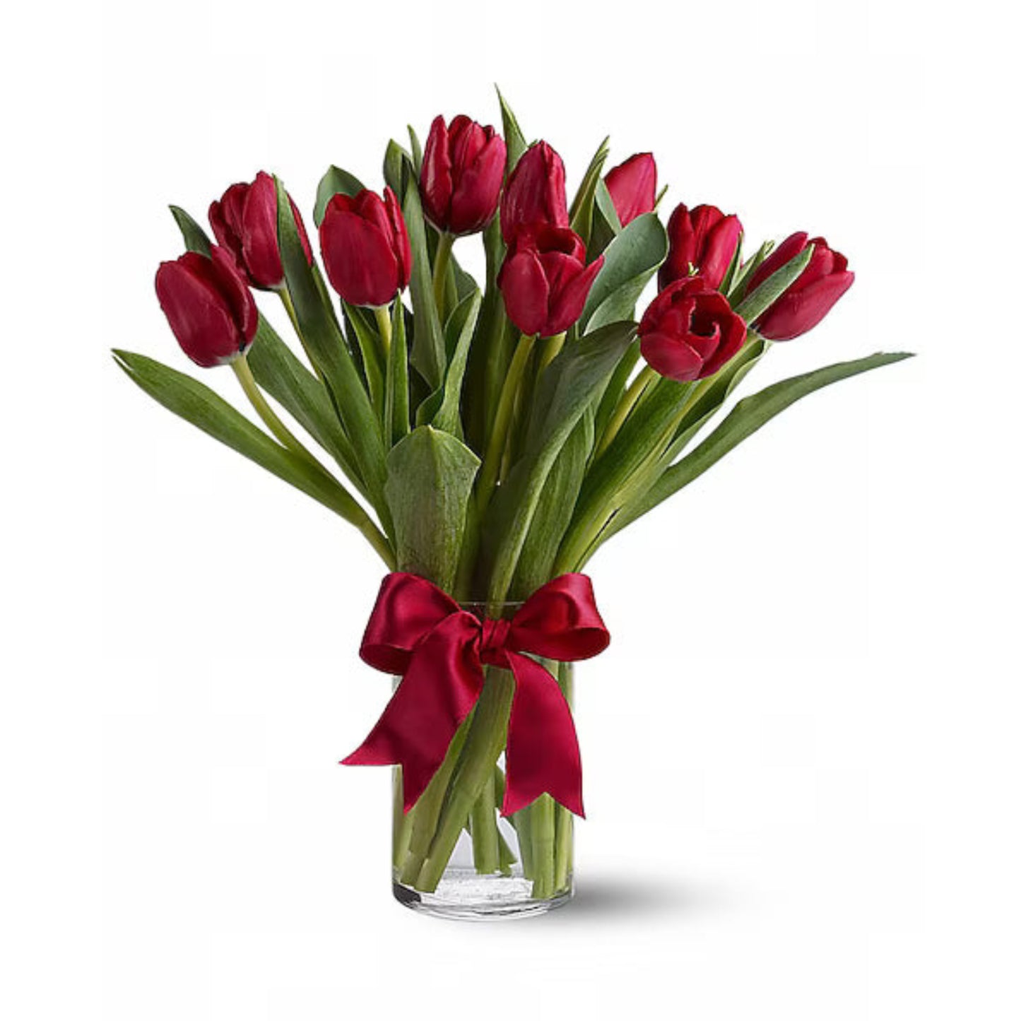 Radiantly Red Tulips