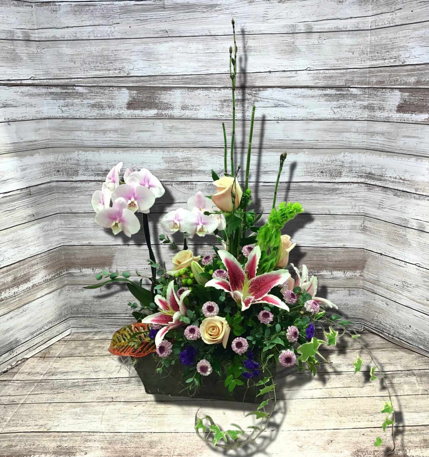 Orchid Garden With Cut Flowers image 0