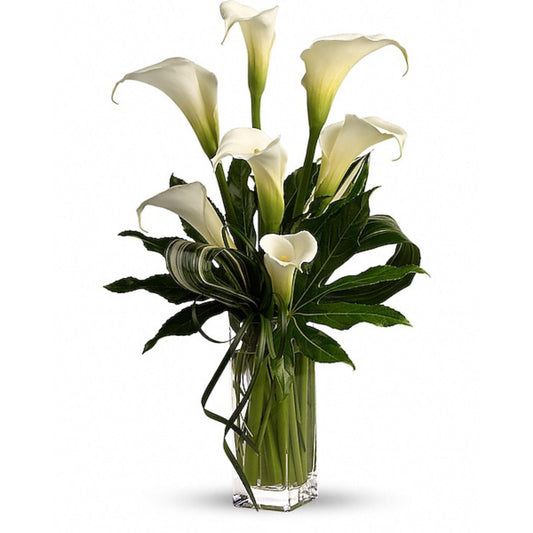 My Fair Lady by Teleflora
